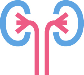 Icon Nieren