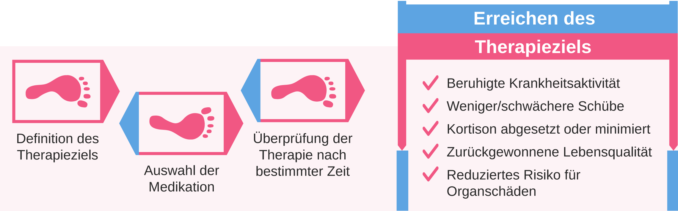 Lupus Website Grafik Therapieziele